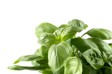 Similar image 12227361