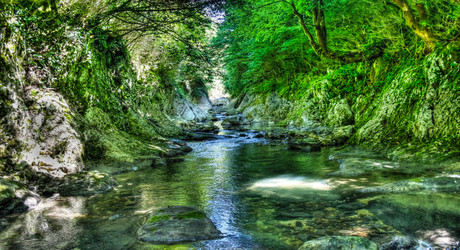 Similar image 12227312