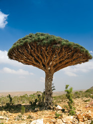 Similar image 12226908