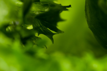 Similar image 12251013