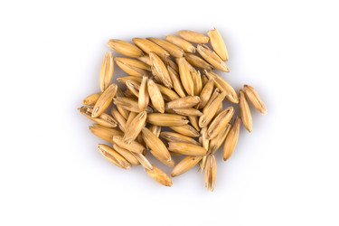 Similar image 12251021