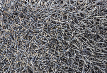 Similar image 12251309