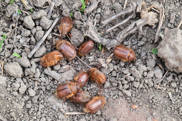 Similar image 12251091