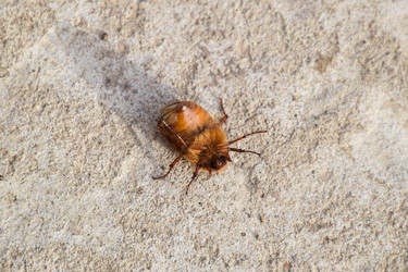 Similar image 12251092