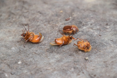 Similar image 12251093