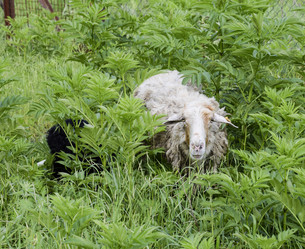 Similar image 12251310