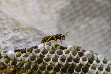 Similar image 12251282