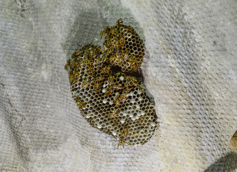 Similar image 12251283