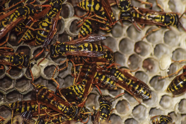 Similar image 12251286