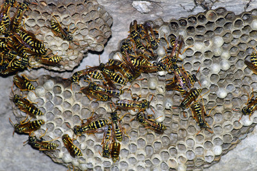 Similar image 12251314