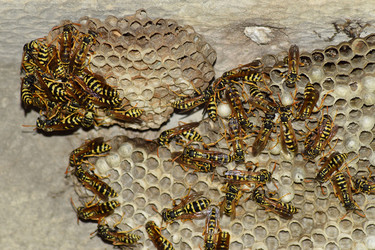 Similar image 12252892