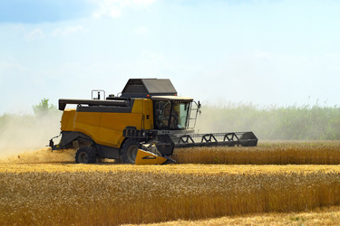 Similar image 12252919