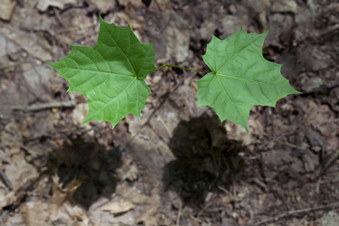 Similar image 12350667