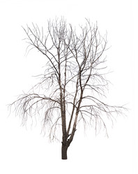 Similar image 12347605