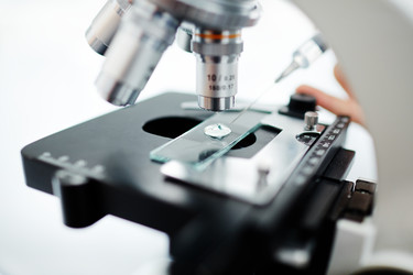 Similar image 12343968