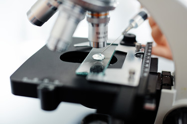 Similar image 12343969