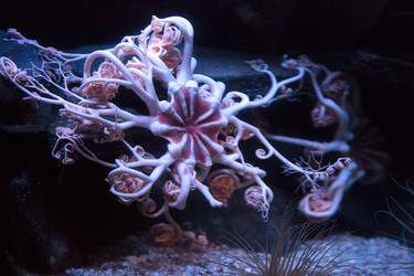 Similar image 12350431