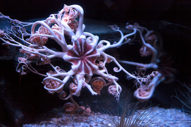 Similar image 12350451