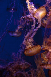 Similar image 12350453