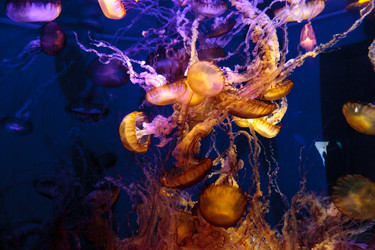 Similar image 12350454