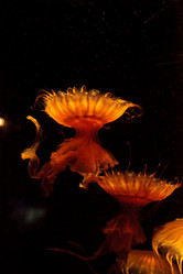 Similar image 12350456