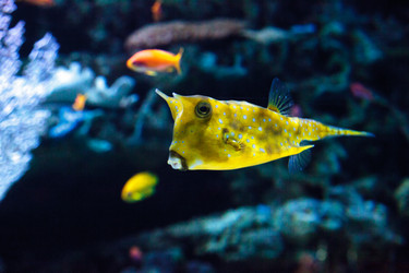 Similar image 12351696