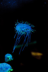 Similar image 12343306