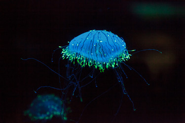 Similar image 12343308