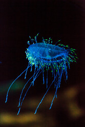 Similar image 12343309