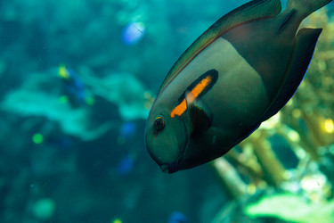 Similar image 12350353