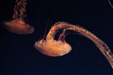 Similar image 12350355