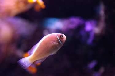 Similar image 12350372