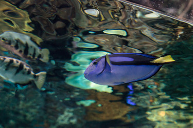 Similar image 12350373