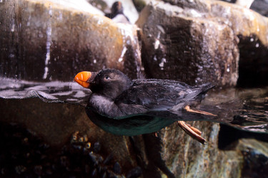 Similar image 12350375