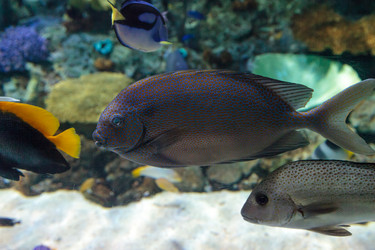 Similar image 12350378