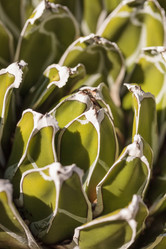 Similar image 12350417