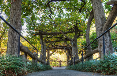 Similar image 12350436