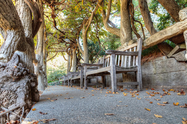 Similar image 12350437