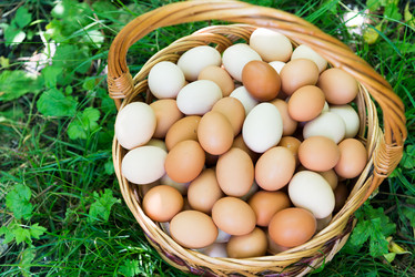 Similar image 12289286