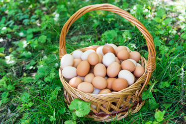 Similar image 12289306