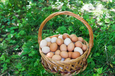 Similar image 12289315