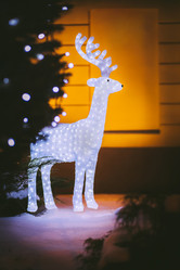 Similar image 12251168