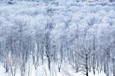 Similar image 12253257