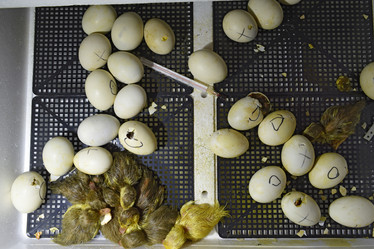 Similar image 12253947