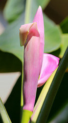 Similar image 12349983