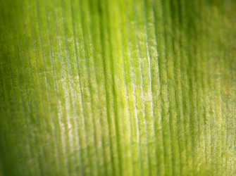 Similar image 12349984