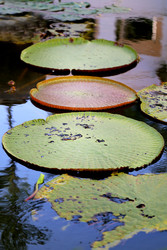 Similar image 12349985