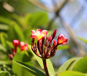 Similar image 12349988