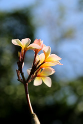 Similar image 12349989