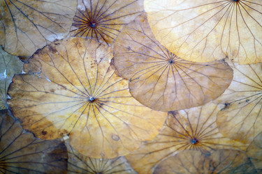 Similar image 12349993